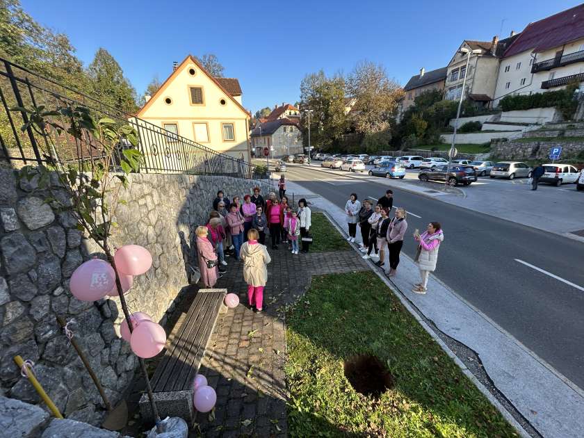 Zasaditev drevesa ob Rožnatem oktobru v Metliki