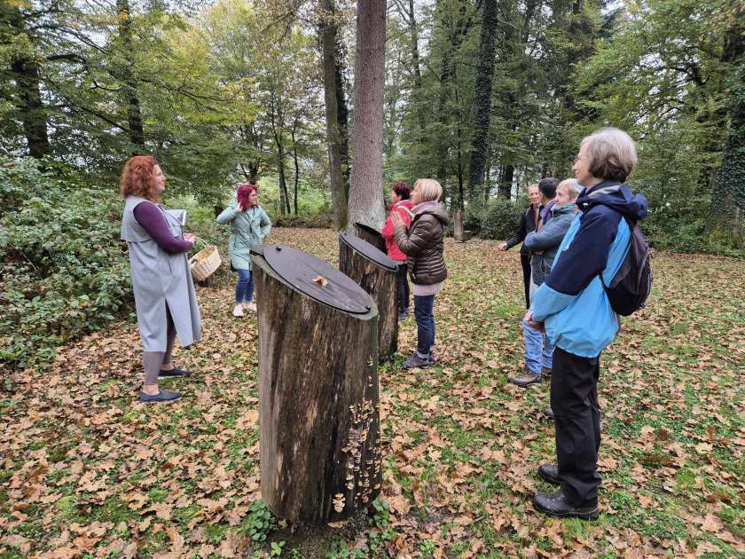 Ko gozd oživi: Dogodek, ki povezuje naravo in ljudi