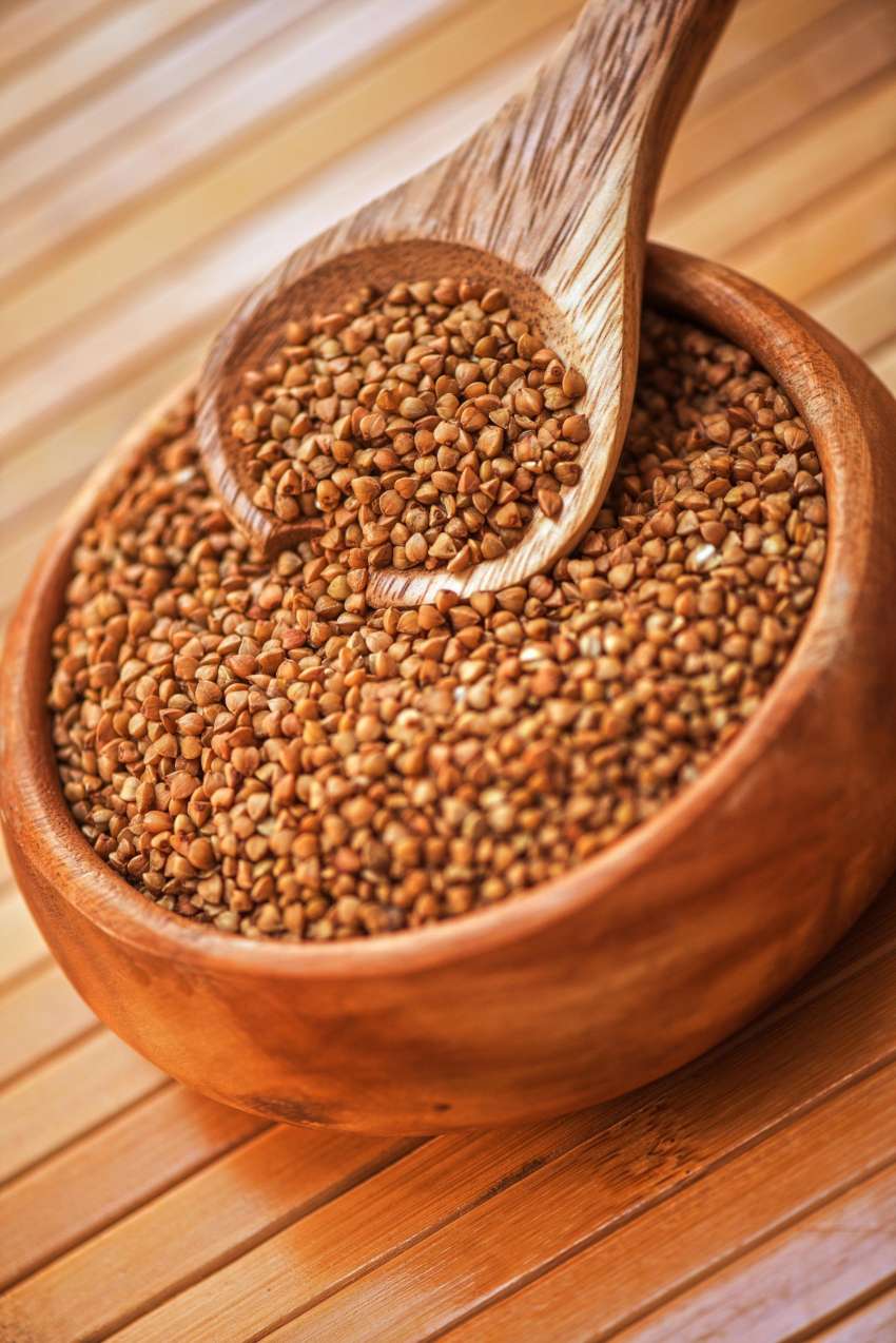 Ajda ne vsebuje glutena in ima kar 150 odstotkov več koristnih mineralov in vitaminov kot pšenica.