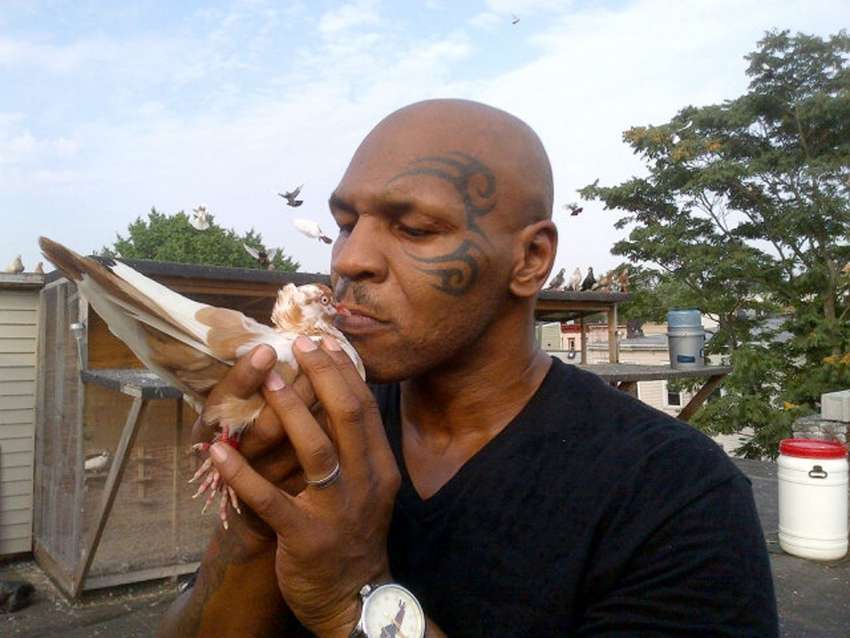 Mike Tyson