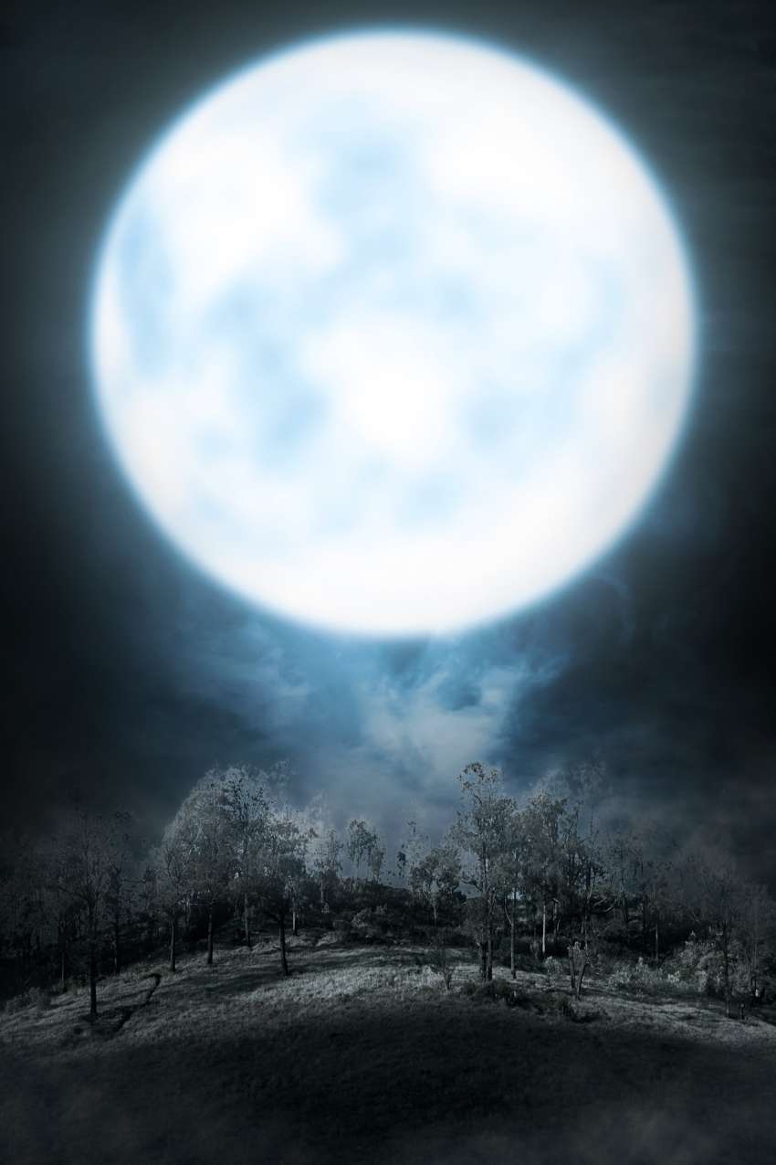 polna luna