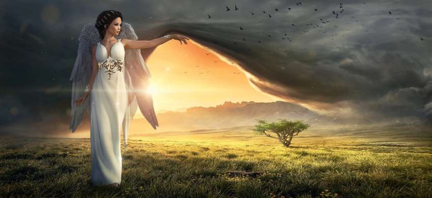 angel
