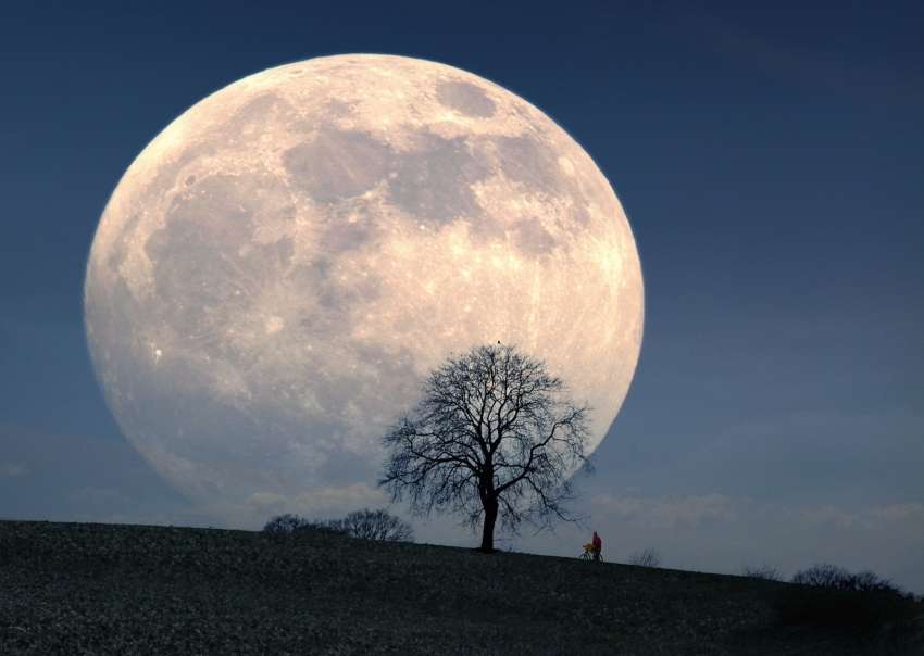 polna luna