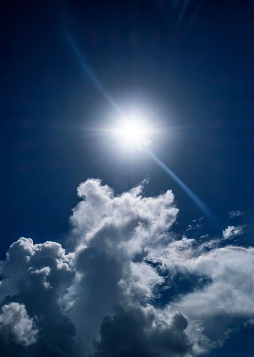 sonce