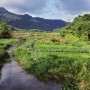 Vietnam in njegova neokrnjena narava.