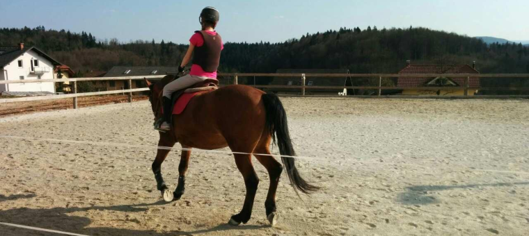 topmodel