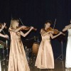 s_temsigviolinistke_copy.jpg