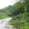 img_5909.jpg