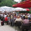 picture_377.jpg
