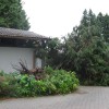 img_5917.jpg
