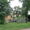 img_5903.jpg