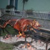 img_5961_000.jpg