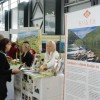 nz_1_08_065.jpg