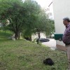 img_0876.jpg