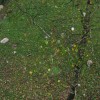 img_6517.jpg