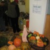 img_1041_000.jpg