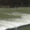 dsc08693.jpg