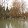 most_na_kostanjevi__ki_otok__tudi_pogled_bolj_od_blizu_ne_poka__e__ali_je_ograja_na_mostu_cela_...