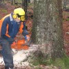 tecaj_varnega_dela_dec_08.jpg