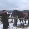 blagoslovili_tudi__sol__blagoslov__konj_v_stari_cerkvi_26_dec_08jpg.jpg