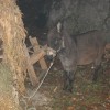 img_7161.jpg