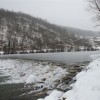 adle__i__i_221.jpg