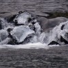 otok_1100593.jpg