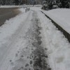 img_7259.jpg