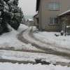 img_7256.jpg