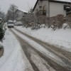 img_7252.jpg