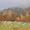 5_nov_028.jpg