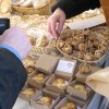 img_0241_000.jpg