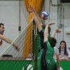 img_9858_000.jpg