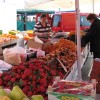 img_0263_000.jpg