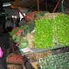 img_0266_000.jpg