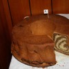 img_9304.jpg