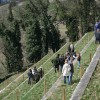 img_9493.jpg