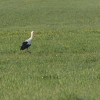 img_3218.jpg