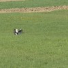 img_3226.jpg