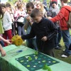 img_0545_000.jpg