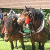 img_8215.jpg