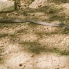 img_8719.jpg