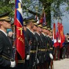 javorovica_castnaceta.jpg