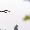 img_3853.jpg