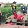 ndl_013.jpg