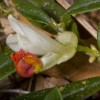 img_4126.jpg