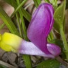img_4127.jpg