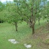 dsc04072_000.jpg