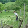 dsc04073_000.jpg