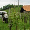 dsc04056_000.jpg